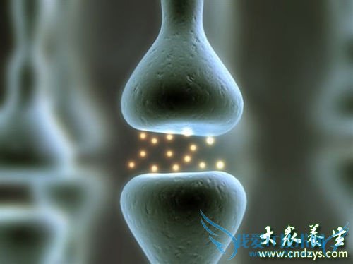 ������ò���8��Ӫ����(2)