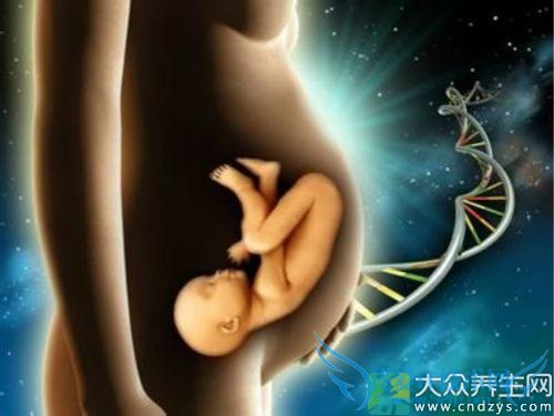 ������������ƾ�