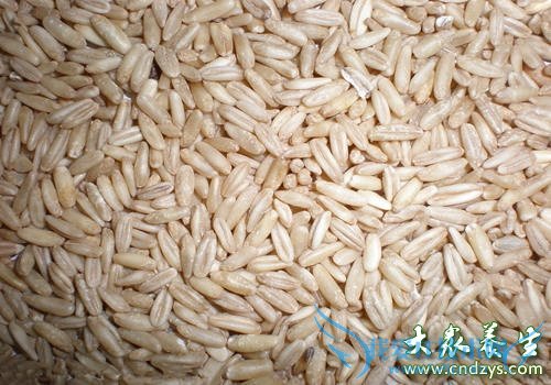 ���豣̥6��ʳ��ǧ������(5)