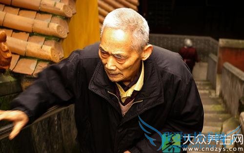 ֧���������� 