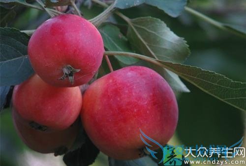 �����ڿ��Գ�ɳ����