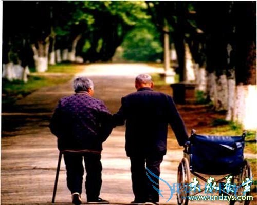 �����˸����Բ���ע������