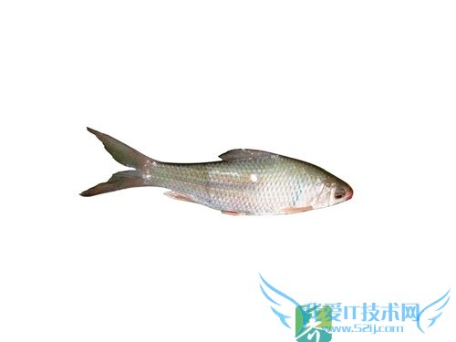 �����ܳ�������