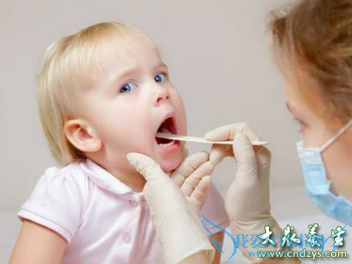 �����Ϻ�������Ⱦ