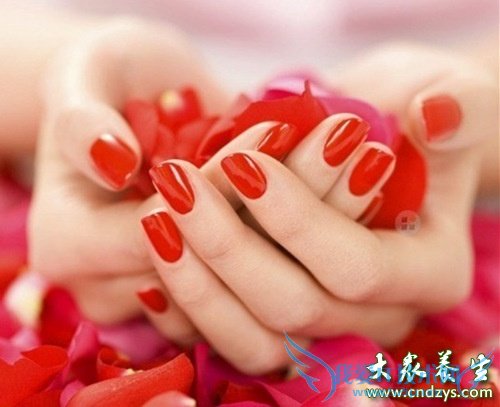 ����ά������