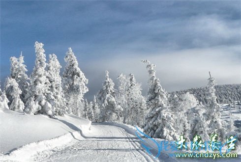 ������֪����Ӫ��С֪ʶ(6)