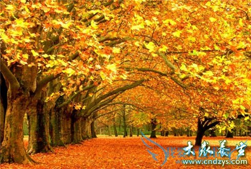 ������֪����Ӫ��С֪ʶ(5)