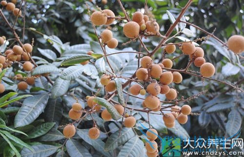 �����ܳ�������  