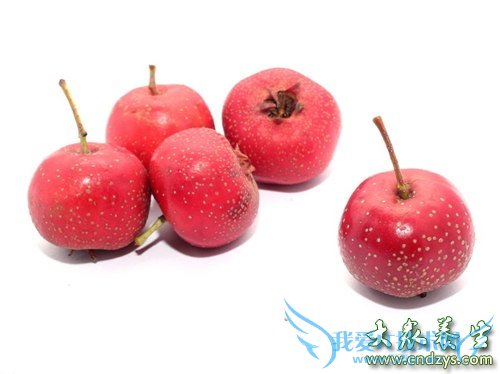 ���»�������������9��ʳ�� ����������(3)