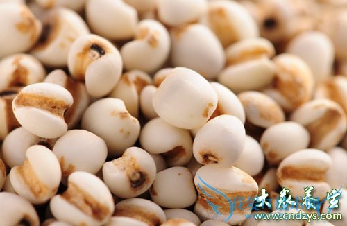 ���»�������������9��ʳ�� ����������(1)