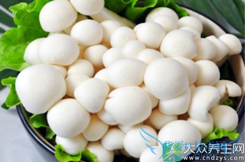 �����ܳ԰�����