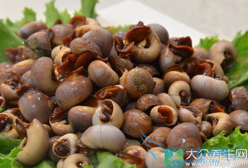 ��Ѫѹ�ܳ�������