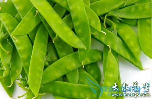 �и����ԳԱⶹ��