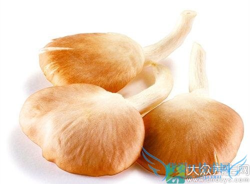 Ƥ�������ܳ����乽�� 