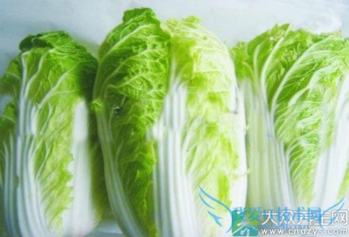 θ�׿��ԳԴ�ײ���