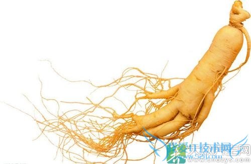  �����ܳ��˲���