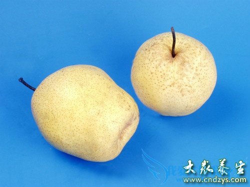 �и��ܳ�ѩ������