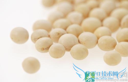 �����ܳԻƶ��� 