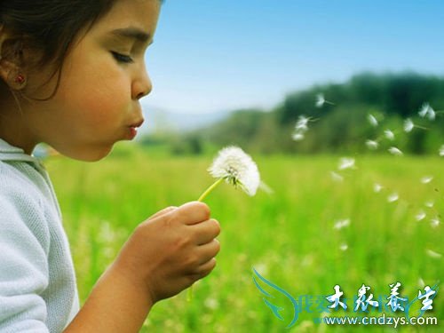 ��ĸ7�ִ������� Ӱ��BBһ��(2)