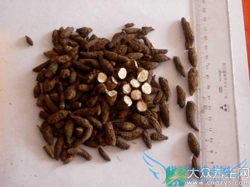 �и��ܳ��㸽��