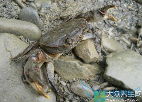 �и��ܳԺ�з��