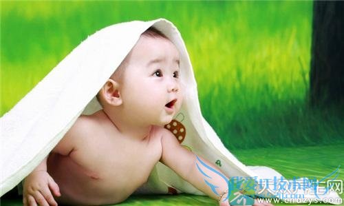 ������Ҫ�������̷���