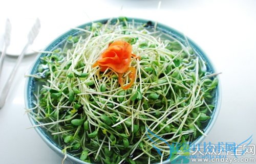 �����ܳ��̶�ѿ��  