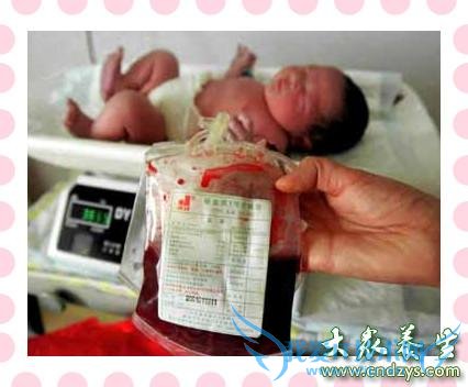 ���Ѫ�ı��淽�������Ѫ������(2)