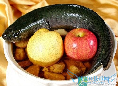 �����ܳԺ�����