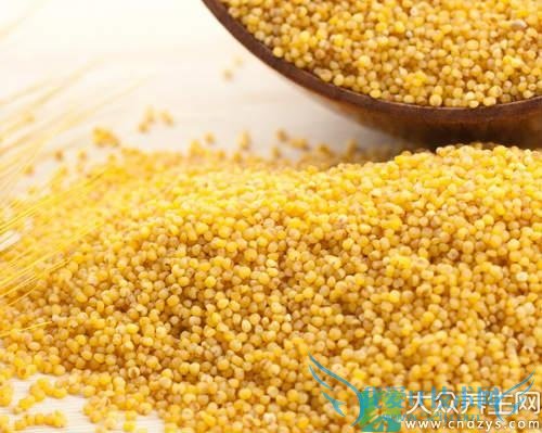 �и��ܳ�С����