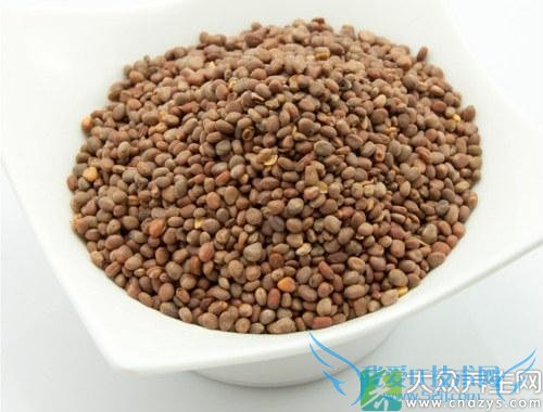 �����ܳ���������