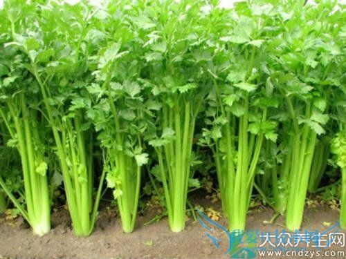 �����ܳ��۲���