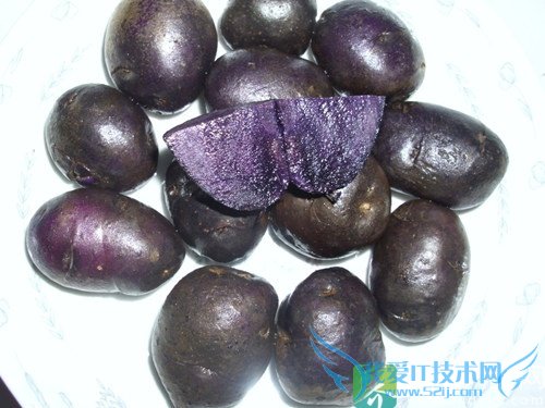 �����ܳԺ�������