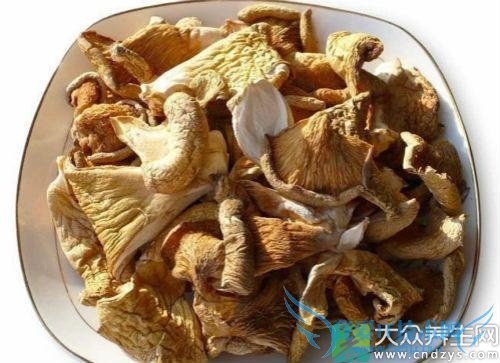 �и��ܳ�ԪĢ��