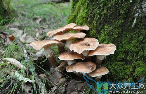  �и��ܳ��Ģ��