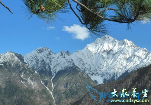 ������ЧԤ���������ಡ(5)