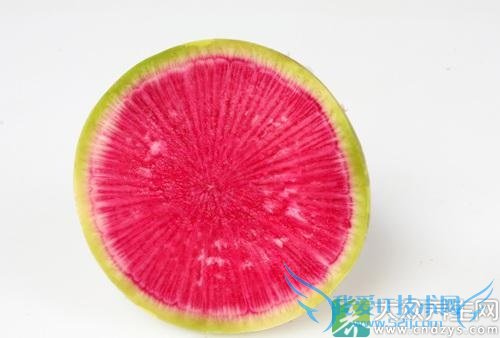 Ƥ�������ܳ��������ܲ��� 