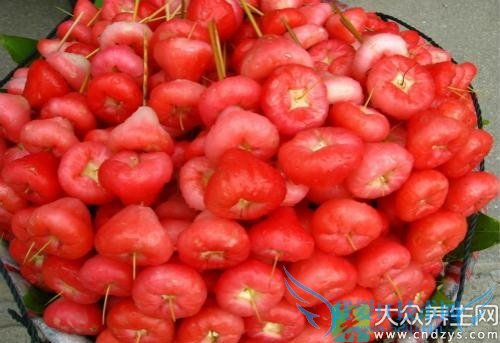 ��Ѫѹ�ܳ�������