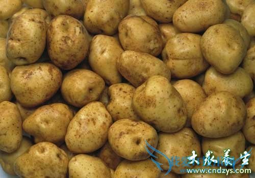 ����̥�����ε�6��ɱ��ʳ�� ������ҪС��(4)