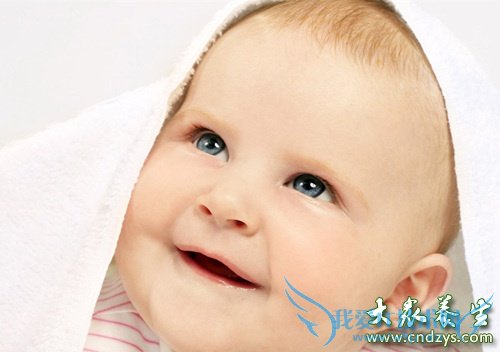 С����к�Ļ���Ҫ��(8)