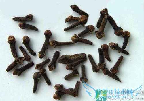 �����ܳԶ����� 