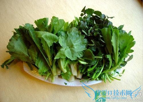 ��Ѫѹ�ܳ��������