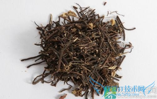 Ƥ�������ܳ���������