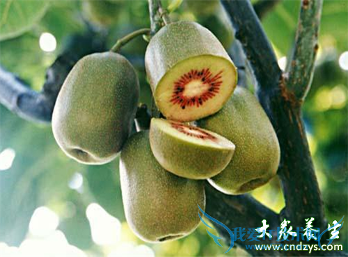 Ƥ�����10��ʳƷ(5)