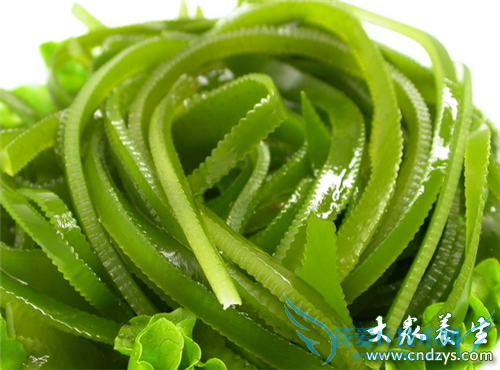 Ƥ�����10��ʳƷ(10)