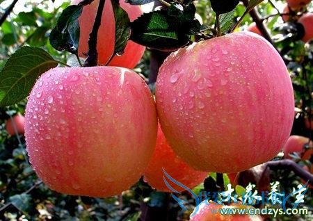 5��ˮ����Կɷ��� ǰ���ٶ��ƻ��(3)