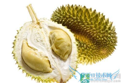 Ƥ�������ܳ������ǿ���