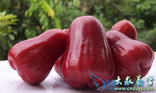  �����ܳ�������