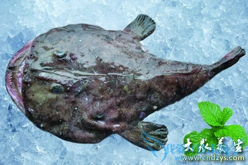 �����ܳ԰�������  