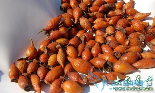 �и��ܳԽ�ӣ����